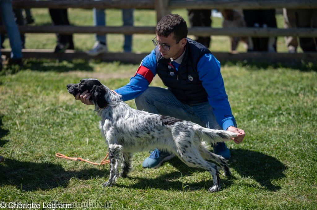 Utah Du Clair De La Plume